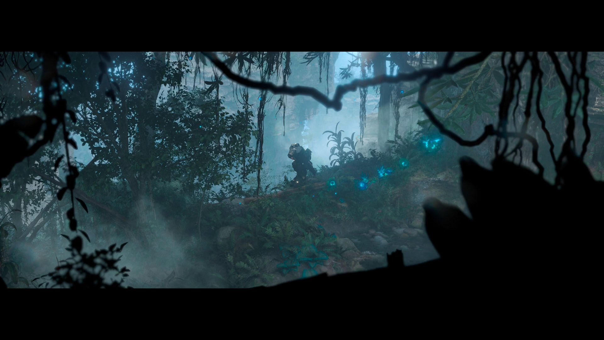 Cinematic still, misty forest approach